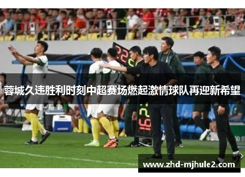 蓉城久违胜利时刻中超赛场燃起激情球队再迎新希望