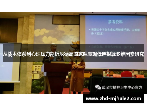 从战术体系到心理压力剖析厄德高国家队表现低迷根源多维因素研究